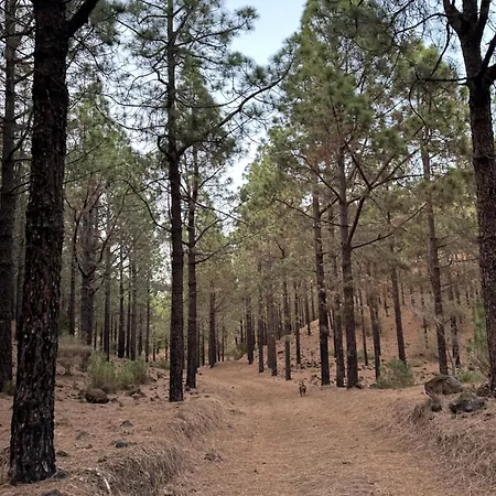 شقة Zulia Suites, Masca, Teide, Gigantes, Excursions, Ac, Wifi-5 *