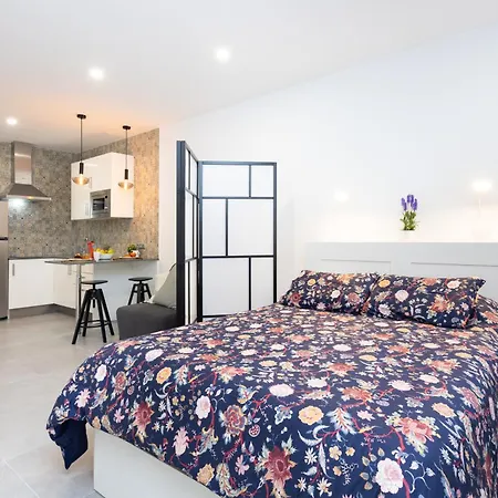 Zulia Suites, Masca, Teide, Gigantes, Excursions, Ac, Wifi-5 Apartamento *